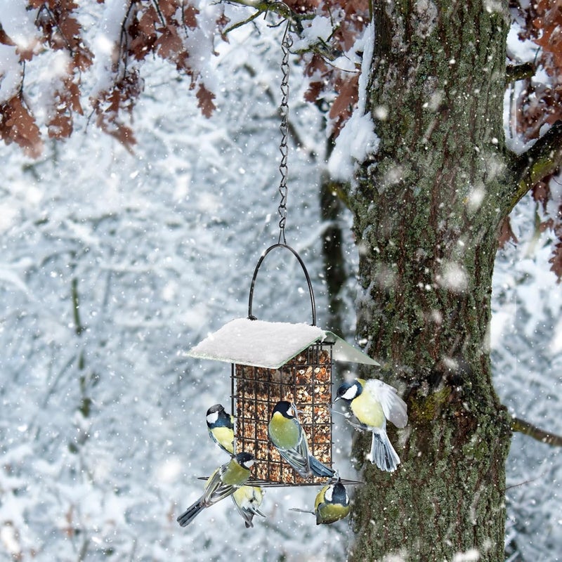 FLINTER Bird Feeder for Outdoors, Suet Feeder Hanging Bird Feeder, Adjustable Chain Hanging for Garden Yard Outside - Suet Cake Feeders to Attracting Birds - Image 3